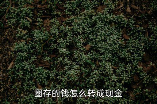 圈存的錢怎么轉(zhuǎn)成現(xiàn)金