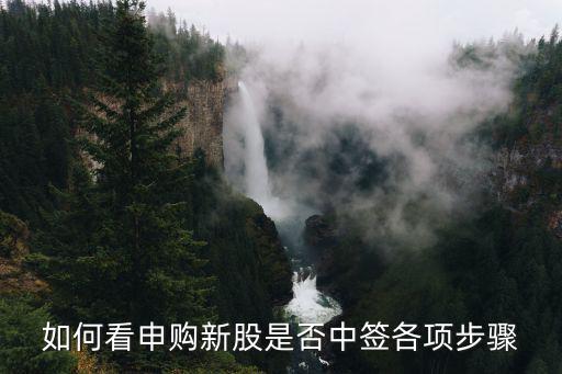 如何看申購(gòu)新股是否中簽各項(xiàng)步驟