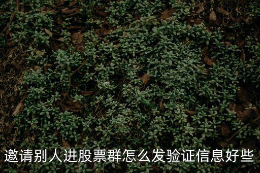 邀請別人進股票群怎么發(fā)驗證信息好些