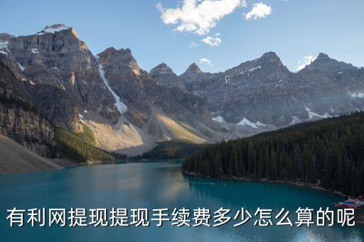 有利網(wǎng)提現(xiàn)提現(xiàn)手續(xù)費(fèi)多少怎么算的呢