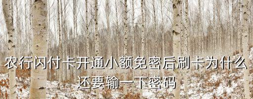 我的閃付怎么還輸密碼，閃付時為什么提示要輸入聯機密碼