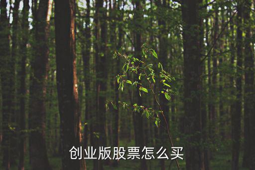 創(chuàng)業(yè)版股票怎么買