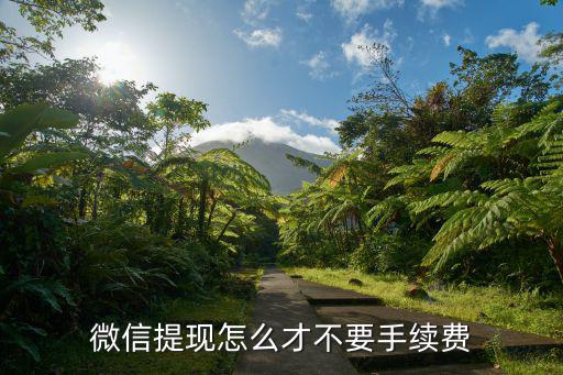 微信提現(xiàn)怎么才不要手續(xù)費(fèi)