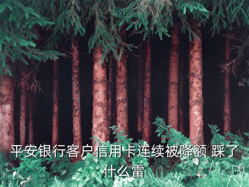 平安銀行客戶信用卡連續(xù)被降額 踩了什么雷