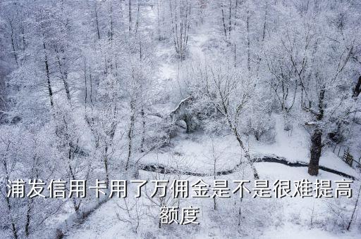 浦發(fā)信用卡用了萬傭金是不是很難提高額度