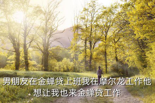 龍貸在線工作怎么樣，男朋友在金蟬貸上班我在摩爾龍工作他想讓我也來金蟬貸工作