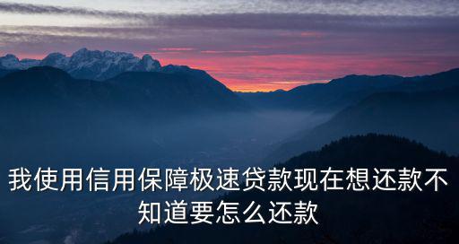 速貸是怎么還款，平安速貸上貸款了但是沒有到賬而且軟件也進(jìn)去去需要還錢嗎