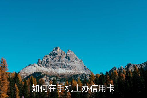 如何在手機上辦信用卡