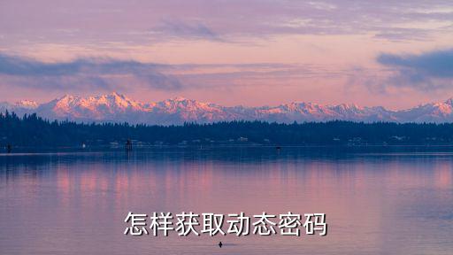怎樣獲取動(dòng)態(tài)密碼