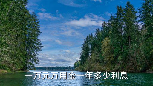 浦發(fā)萬用金 一萬利息怎么算，浦發(fā)信用卡萬用金100000分36期每月利息是多少每月等額本息還多