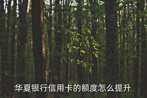 華夏銀行信用卡的額度怎么提升