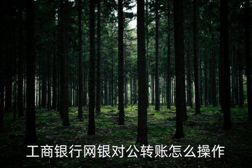 工商銀行網(wǎng)銀對公轉(zhuǎn)賬怎么操作