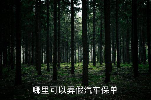 哪里可以弄假汽車保單