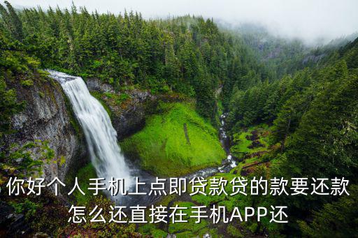 浦銀點(diǎn)貸怎么還款，你好個(gè)人手機(jī)上點(diǎn)即貸款貸的款要還款怎么還直接在手機(jī)APP還