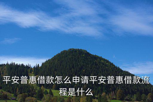 平安普惠借款怎么申請(qǐng)平安普惠借款流程是什么