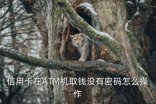 信用卡沒密碼怎么登陸不了怎么辦，銷卡后信用卡狀態(tài)異常無法登錄