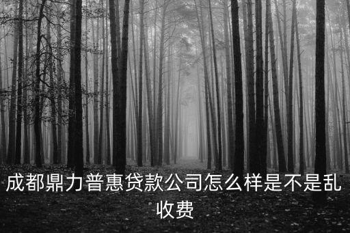 成都鼎力普惠貸款公司怎么樣是不是亂收費