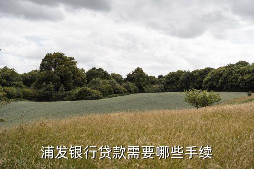 浦發(fā)銀行貸款需要哪些手續(xù)