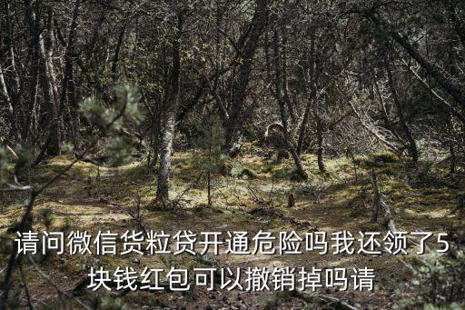 微信貸款怎么取消，請(qǐng)問(wèn)微信貨粒貸開(kāi)通危險(xiǎn)嗎我還領(lǐng)了5塊錢紅包可以撤銷掉嗎請(qǐng)