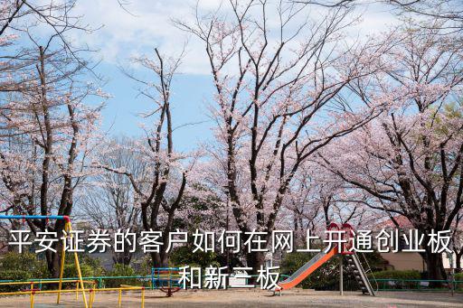 平安證券的客戶如何在網(wǎng)上開通創(chuàng)業(yè)板和新三板