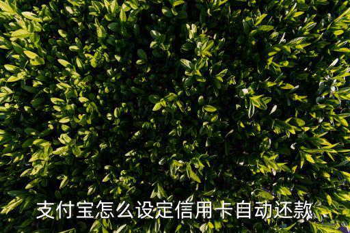 怎么設(shè)置自動還信用卡，支付寶怎么設(shè)定信用卡自動還款