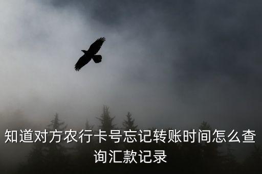 知道對方農(nóng)行卡號忘記轉(zhuǎn)賬時(shí)間怎么查詢匯款記錄