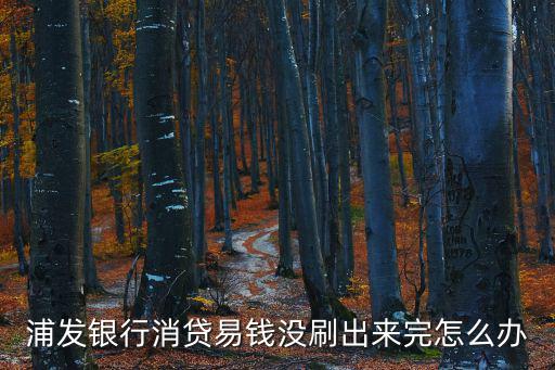 浦發(fā)消易貸怎么用，浦發(fā)銀行消貸易錢(qián)沒(méi)刷出來(lái)完怎么辦