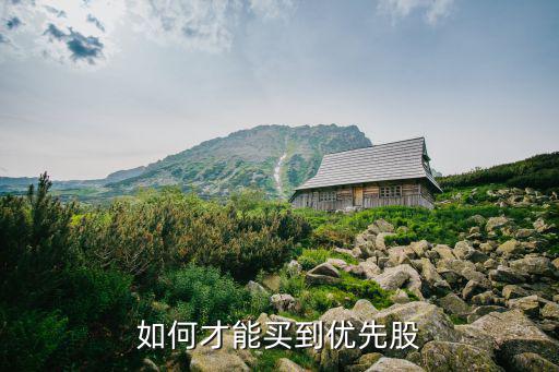 銀行優(yōu)先股怎么買，購買農(nóng)業(yè)銀行優(yōu)先股在哪里購買