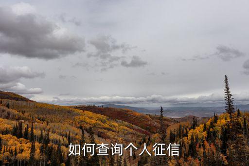 如何查詢個人征信