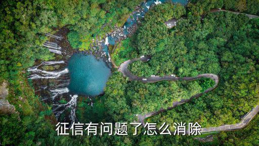 征信有問題了怎么消除