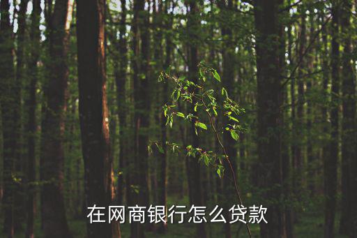 在網(wǎng)商銀行怎么貸款