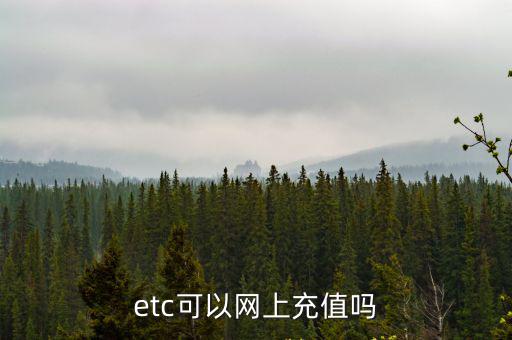 etc可以網(wǎng)上充值嗎