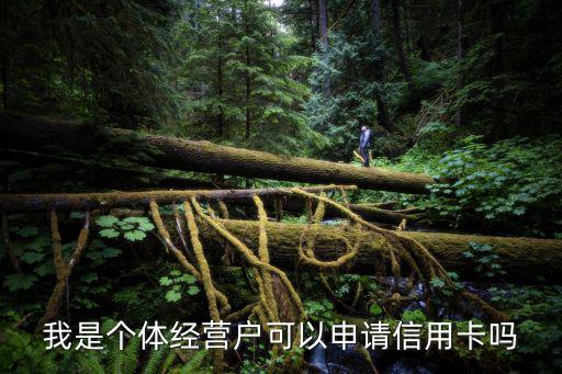 個(gè)體人員怎么申請(qǐng)信用卡，我是個(gè)體經(jīng)營(yíng)戶可以申請(qǐng)信用卡嗎