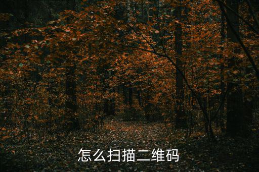 怎么掃描二維碼