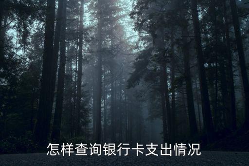 怎樣查詢銀行卡支出情況