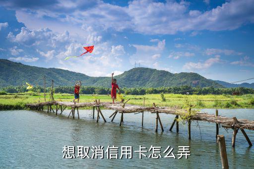 想取消信用卡怎么弄