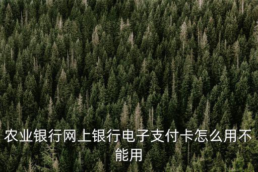 農(nóng)業(yè)銀行網(wǎng)上銀行電子支付卡怎么用不能用