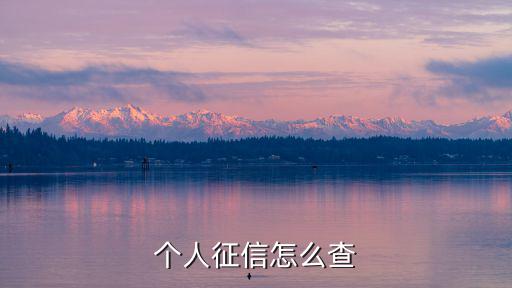 怎么樣查詢個(gè)人征信，網(wǎng)上怎么查征信