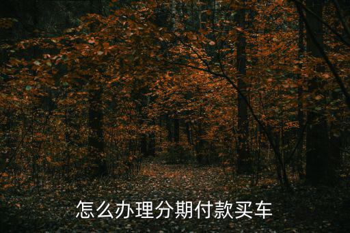 怎么辦理分期付款買車