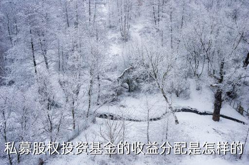 私募股權(quán)投資基金的收益分配是怎樣的