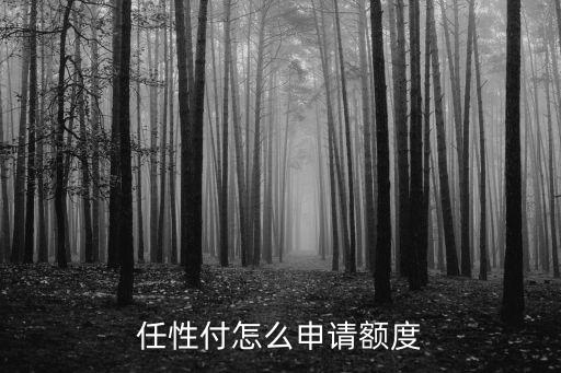 任性付怎么申請(qǐng)額度