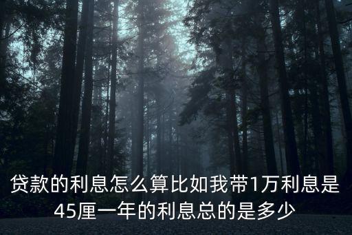 貸款的利息怎么算比如我?guī)?萬利息是45厘一年的利息總的是多少