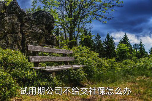 試用期公司不給交社保怎么辦