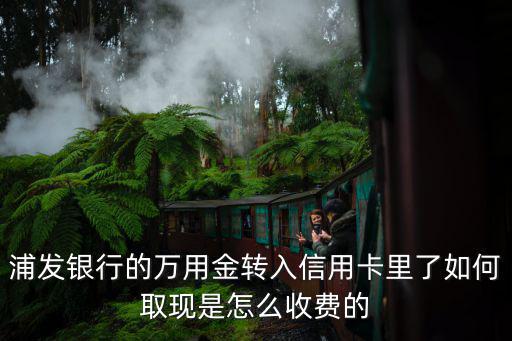 萬用金怎么取出來的，浦發(fā)銀行的萬用金轉(zhuǎn)入信用卡里了如何取現(xiàn)是怎么收費(fèi)的