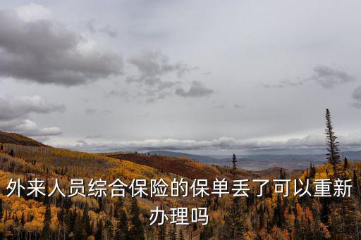 報(bào)保險(xiǎn)保單丟了怎么辦理，發(fā)生了交通事故車(chē)的保險(xiǎn)單找不到了該怎么辦