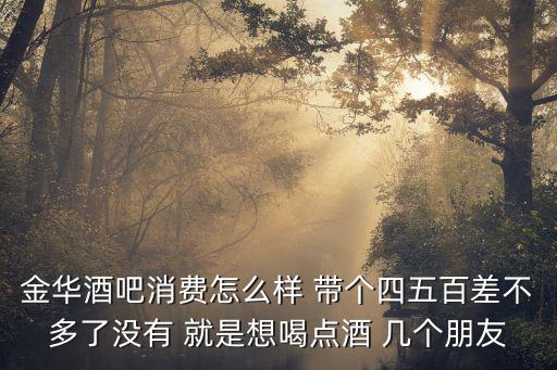 五象銀河消費(fèi)怎么樣，金華酒吧消費(fèi)怎么樣 帶個(gè)四五百差不多了沒(méi)有 就是想喝點(diǎn)酒 幾個(gè)朋友