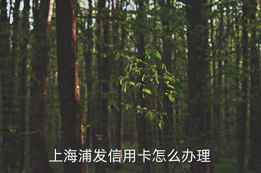 上海浦發(fā)信用卡怎么辦理