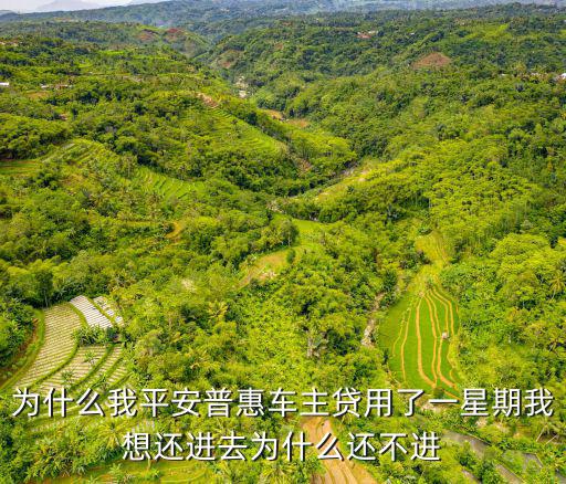 為什么我平安普惠車主貸用了一星期我想還進(jìn)去為什么還不進(jìn)