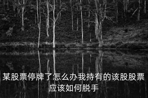 某股票停牌了怎么辦我持有的該股股票應(yīng)該如何脫手