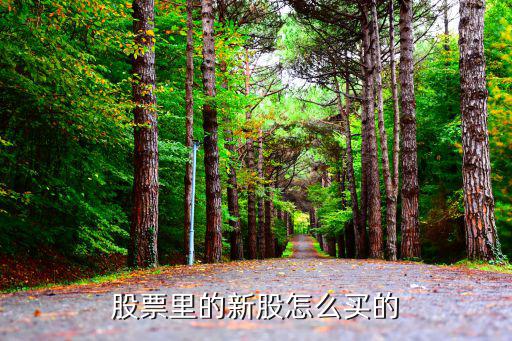 新股怎么交易，中新股 如何交錢 用東方財(cái)富